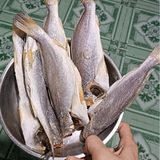 Khô Đù, Đổng, Mực Chuối 500gr