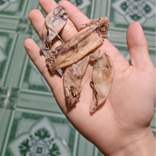 Khô Đù, Đổng, Mực Chuối 500gr