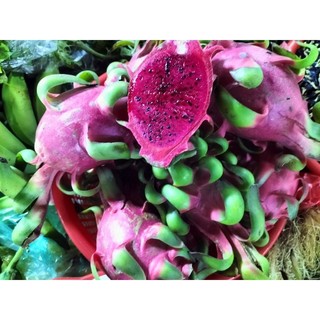 thanh long ruột đỏ 1kg