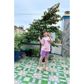 Bộ cộc tay kuromi bé gái (14-43kg)