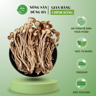 Nấm trà Tân khô Đặc Sản loại 1 Hàng Hảo Hạng Chất Lượng/ Hàng công ty - Dùng để chế biến món ăn hoặc pha trà