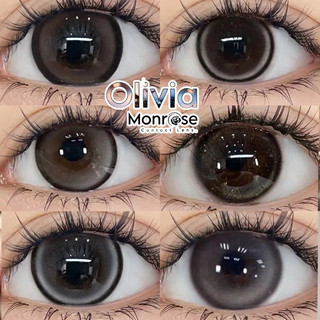 Lens Douyin 100+ mẫu nâu ,xám - Kính áp tròng xinh đẹp ( Kèm khay đơn ) - Olivia monrose lens