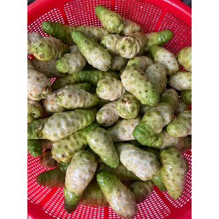 Combo 5kg nhàu thành phẩm