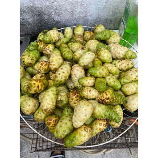Combo 5kg nhàu thành phẩm
