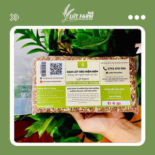 [ RẺ VÔ ĐỊCH ]  Gạo Lứt dẻo đỏ Điện Biên - Phù hợp cho người giảm cân, tiểu đường, tập gym