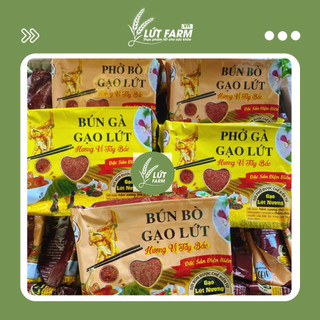 Bún phở gạo lứt ăn liền vị bò gà gia vị Tây Bắc tiện lợi eatclean, giảm cân