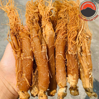 Hồng nhân sâm Hàn Quốc sấy dẻo nguyên củ thượng hạng từ nhân sâm già nhiều năm tuổi cho bé, người lớn, người già