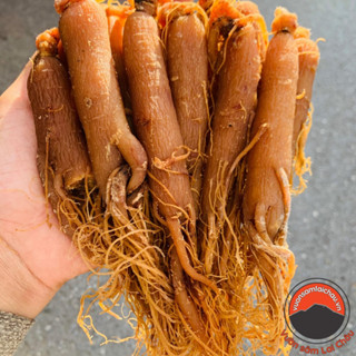 Hồng sâm sấy dẻo nguyên củ thượng hạng (500g, 1kg) từ nhân sâm Hàn Quốc củ già nhiều năm tuổi cho bé người lớn người già