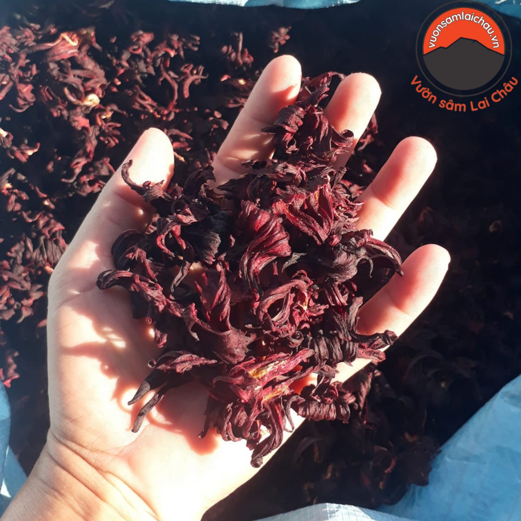 Hoa Atiso đỏ sấy dẻo loại 1, trà hoa atiso đỏ, hoa dâm bụt, bụp giấm (Hoa Hibiscus) khô pha trà, chư