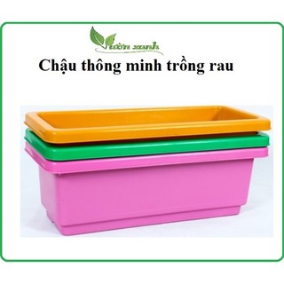 Combo 5 chậu chữ nhật thông minh dài 48 cm trồng rau, hoa mười giờ, dạ yến thảo,...