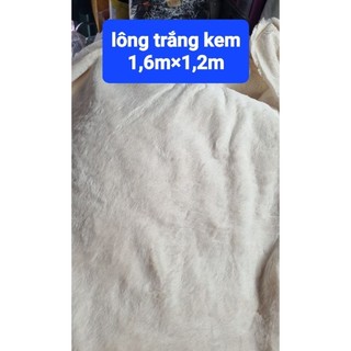 Vải lông mịn hình gấu khổ 1,9m