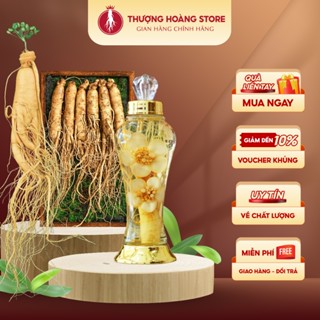 Sâm Tươi Nguyên Củ 8 Năm Tuổi Hàn Quốc, Nhân Sâm Thượng Hoàng Từ Geumsan Korean, Sâm Hàn Chuyên Hầm Canh, Ngâm Tửu