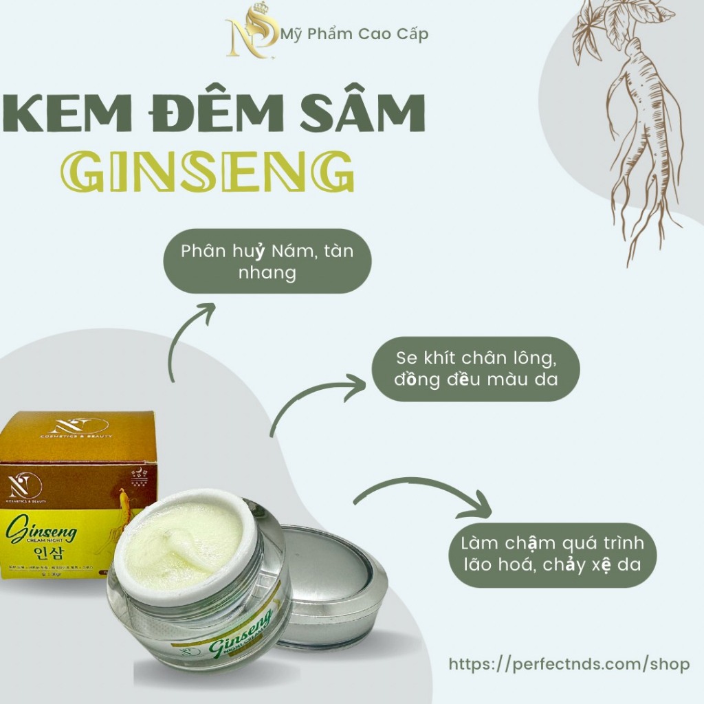 GINSENG CREAM NIGHT - KEM SÂM NÁM ĐÊM