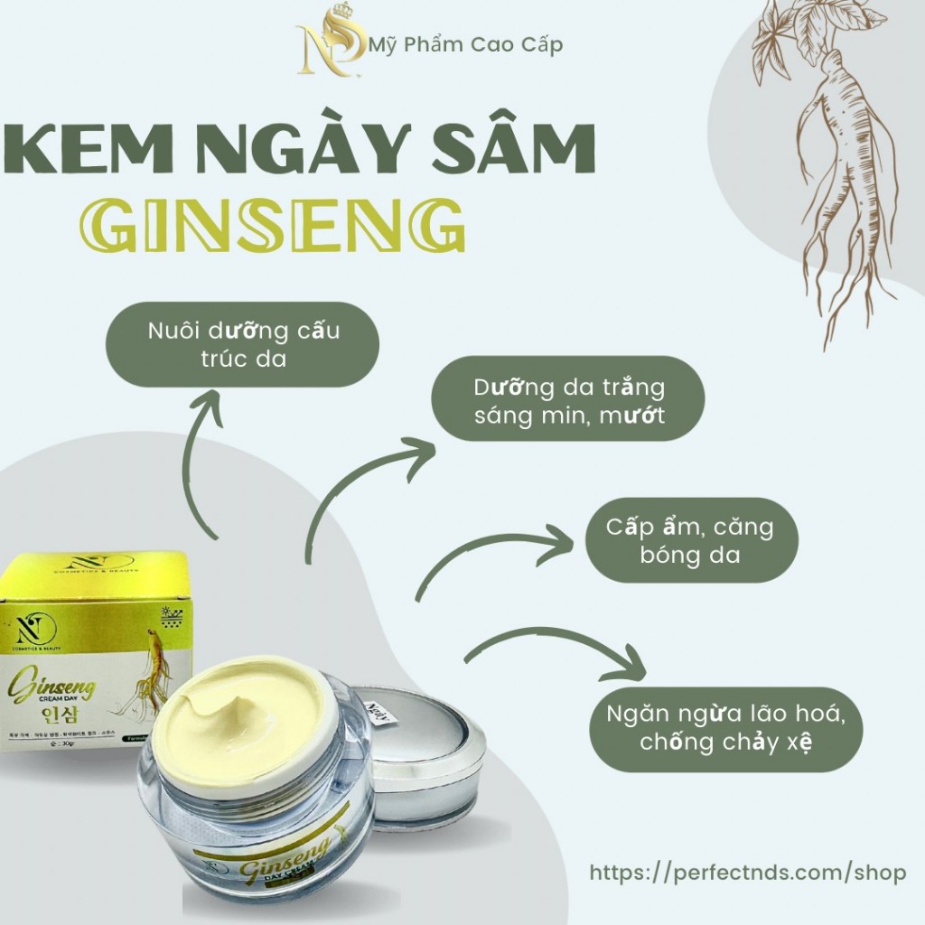 GINSENG CREAM DAY- KEM SÂM NÁM NGÀY