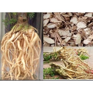 1kg rễ đinh lăng thái lát khô, thơm, mới sạch