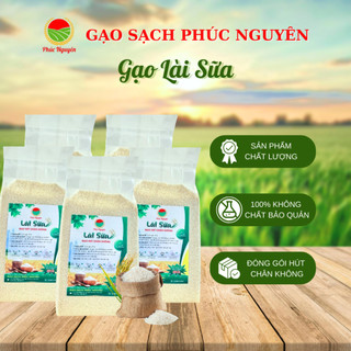 [25 KG] Gạo Lài Sữa Phúc Nguyên Cung Cấp Lượng Sắt Tốt Cho Phụ Nữ Sau Sinh | Gạo Sạch Phúc Nguyên