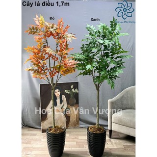 Cây giả, cây lá điều cao 1,7m trang trí decor