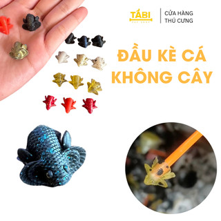 Đầu kè cá betta giúp cá sung, khoe dáng
