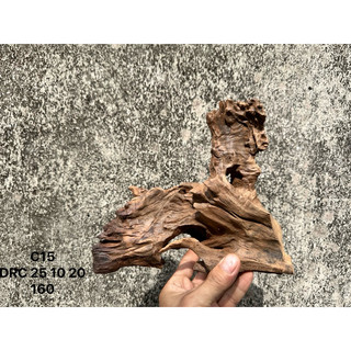 Gỗ lũa mini decor, setup hồ cá, terrarium ,...hàng tuyển chọn