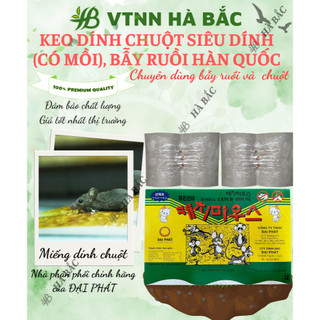 Keo dính chuột Siêu Dính , Miếng keo dán chuột, Miếng bẫy chuột, bẫy ruồi Hàn Quốc
