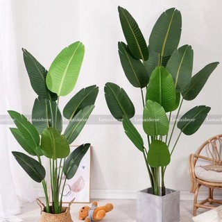 Cây chuối 1m8 (cây giả) ảnh + video, Lá nhám xịn