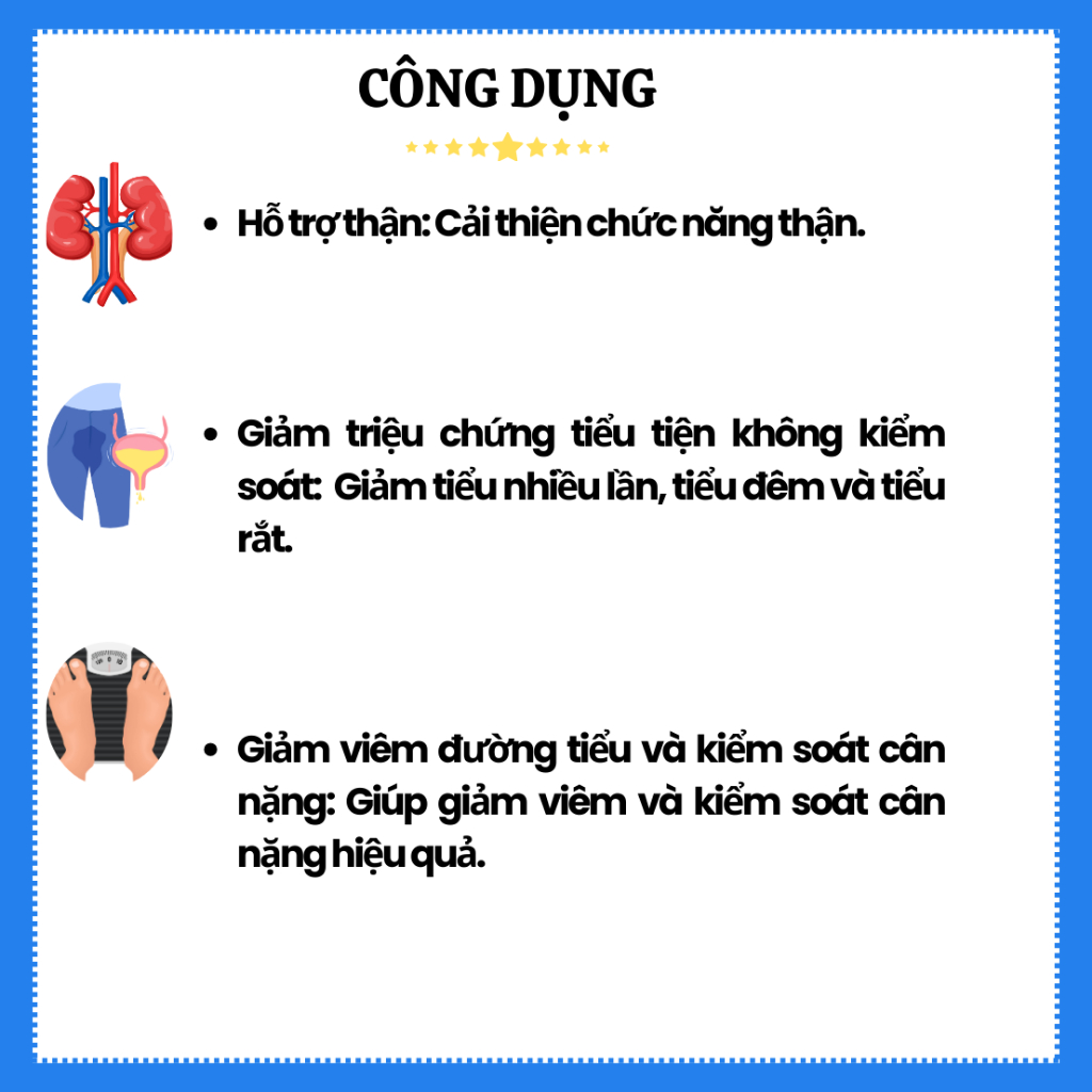 Viên Tiểu Đan -hỗ trợ bổ thận, giảm triệu chứng tiểu đêm và tiểu nhiều lần