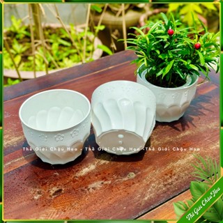  Chậu hoa mini để bàn chậu nhựa trồng cây sen đá trang trí sân vườn ban công lớp học bàn làm việc RẺ + ĐẸP 