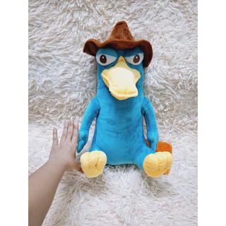 Gấu nhồi bông vịt Perry 70cm thú mỏ vịt