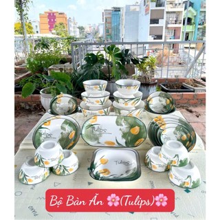 Tô chén dĩa sứ hoa văn 4d mẫu tulip các size 15cm / 18cm / 20cm tô sứ trắng