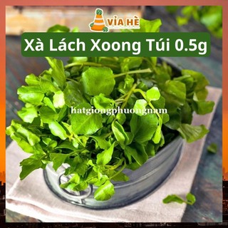 Hạt Giống Rau Xà Lách Xoong Túi 0.5g, Chất Lượng Dễ Trồng, Rau Cải Xoong