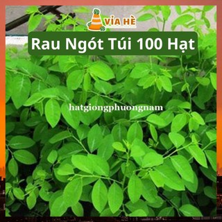 Hạt Giống Rau Ngót Túi 100 Hạt, Chất Lượng Dễ Trồng
