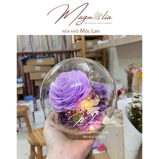 Quả cầu 12cm chụp thuỷ tinh hoa hồng vĩnh cửu không tàn *HOA KHÔ MỘC LAN*
