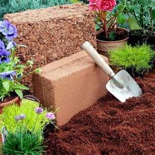 Đất nén xơ dừa, Giá thể trồng cây ✔️✔️✔️ Viên nén mụn dừa trộn đất trồng cây chóng úng nước, hạn chế vi khuẩn hại cây