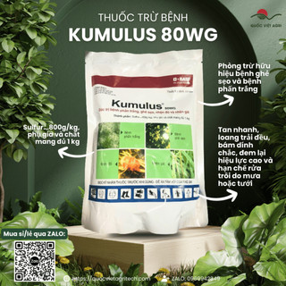 Thuốc trừ bệnh - kumulus 80wg - 1kg