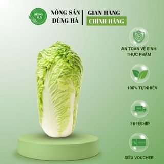 CẢI THẢO ĐÀ LẠT - Bắp to tươi ngon/ Chỉ ship hỏa tốc