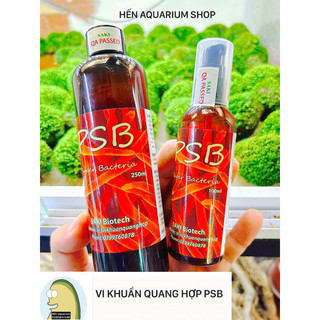 Vi khuẩn quang hợp Psb làm trong nước bể cá