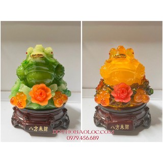 Cóc Ngậm Tiền V.àng Cao 17cm x ĐK 13cm - 2 Màu (Vàng, Xanh)