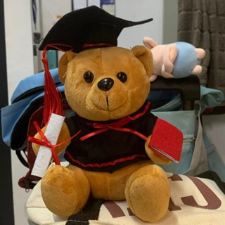 Gấu Bông Tốt Nghiệp Gấu Bông Cử Nhân Tặng Bạn Bè Ngày Ra Trường - Gấu Xinh - G143