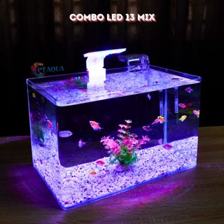 Bể cá mini Đúc uốn cong 35x21x23cm để bàn Với nhiều mẫu lựa chọn có kèm phụ kiện sỏi nền và cây nhựa