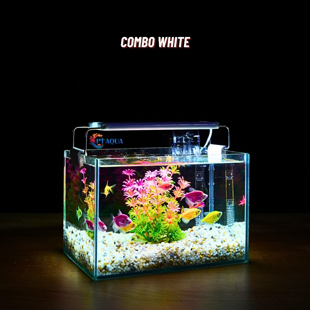 Bể cá mini để bàn 22x15x15cm CHỌN MẪU với nhiều mầu có kèm phụ kiện