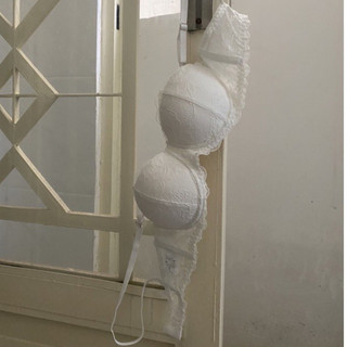 Lace - áo lẻ kendal có gọng