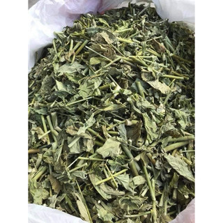 Cây xương khỉ. hỗ trợ ung thư 1 kg