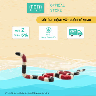 MÔ HÌNH ĐỘNG VẬT - RẮN SAN HÔ