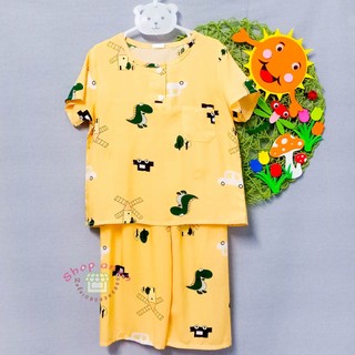 [10-13kg] Bộ tole quần dài tay ngắn bé trai 10-13kg