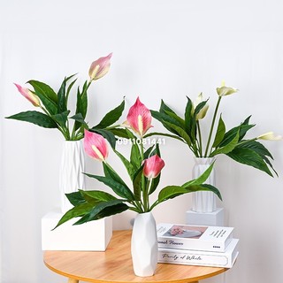 Cây lan ý giả, cây giả trang trí cao 45cm gồm 3 bông cao su loại đẹp