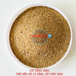 Cát nắng vàng trải nền bể cá | cát vàng trang trí hồ cá, bể thủy sinh