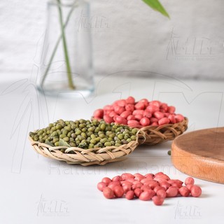 Đĩa tre / Rế tre nhí - phụ kiện decor, trang trí chụp hình sản phẩm, đạo cụ giảng dạy
