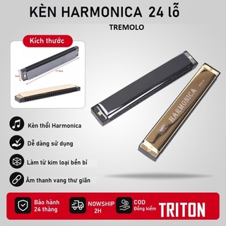  Kèn Harmonica Tremolo 24 Lỗ TRITON DMTS24H - Tặng hộp đựng và khăn lau giá rẻ cho bạn mới tập chơi 