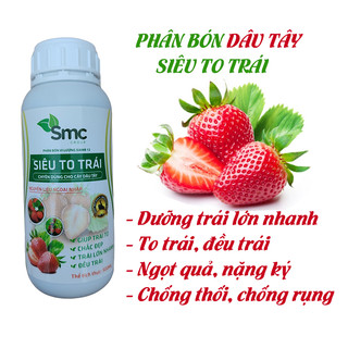 Phân bón dâu tây siêu to trái 500ml, dưỡng trái lớn nhanh, quả to nặng ký, bóng trái, đẹp trái