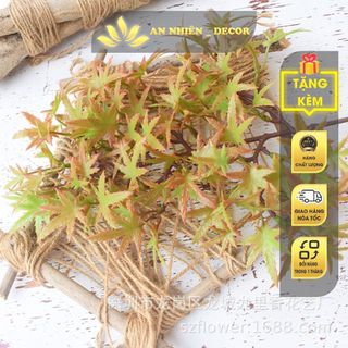 Mô hình lá phong - Tráng trí gỗ, lũa bonsai tuyệt đẹp - Hàng chất lượng cao, màu tự nhiên.
